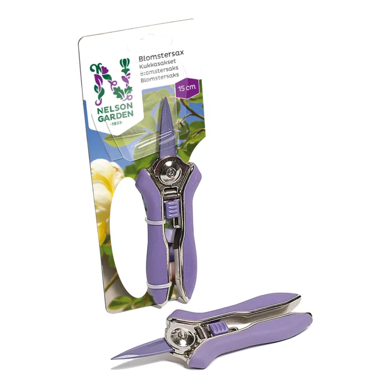 I lager Blomstersax Nelson Garden 15 cm