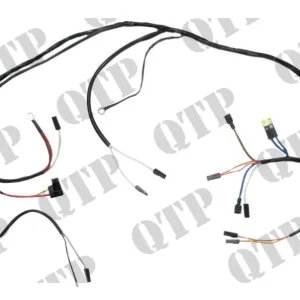Wiring Loom Rea