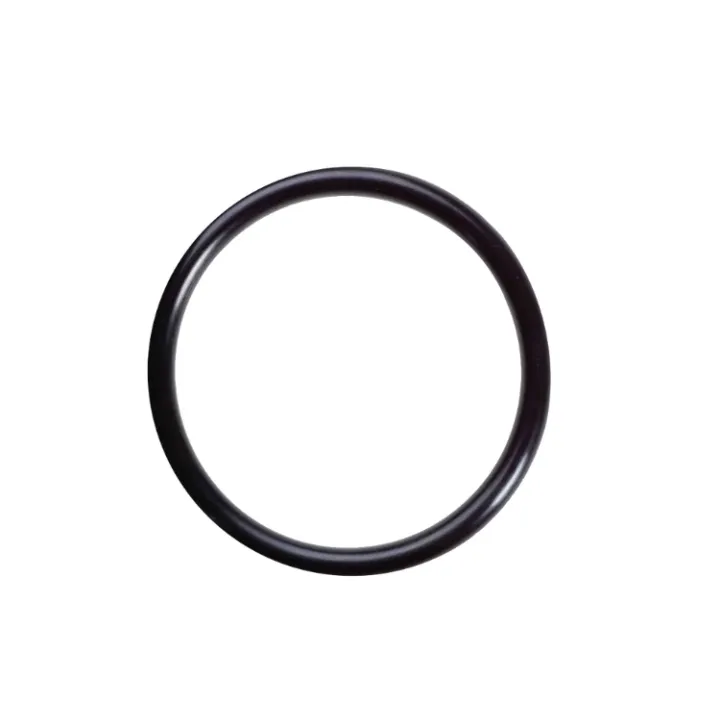 Snabb frakt O-Ring
