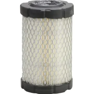 I lager Luftfilter Briggs & Stratton Intek 13.5-19.5HK 796031, 594201
