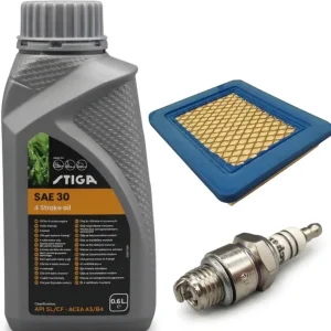 Endast idag Servicesats Briggs & stratton 625, 650, 675, Quantum