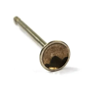 Avagasventil 590394 Outlet