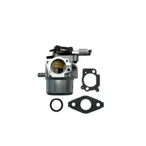 Förgasare Briggs & Stratton 796608 Billigare