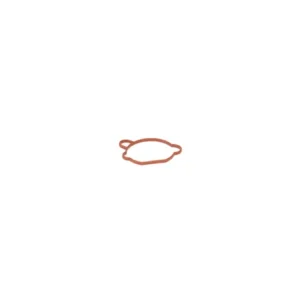 Outlet Gasket Förgasare, Rider, 5993490-78