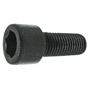 Skruv med inre sexkant M16x2x55 mm 12.9 Kampanjpris
