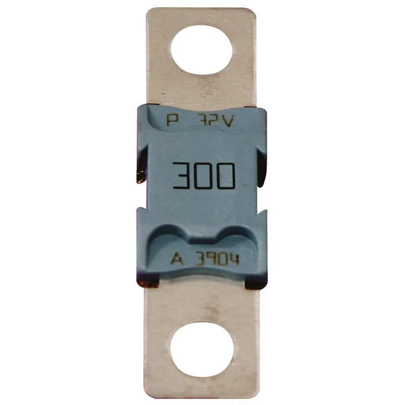Expressleverans Säkring 300 Amp