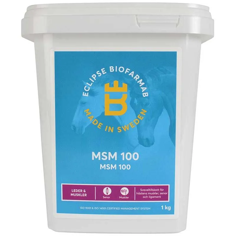 MSM 100 1 kg Eclipse Biofarmab Rea